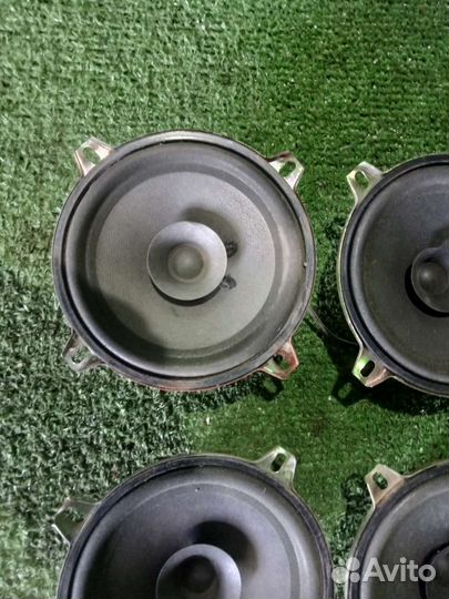 Динамики нпо Ителма 13