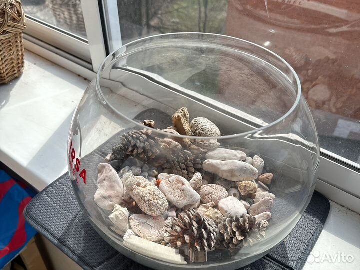 Ваза аквариум 25*27 флорариум декор стекло
