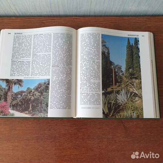 Лесная энциклопедия 2 т, иллюстрированная энциклоп