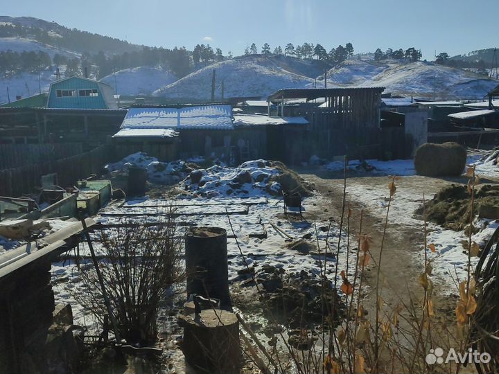 Навоз коровий