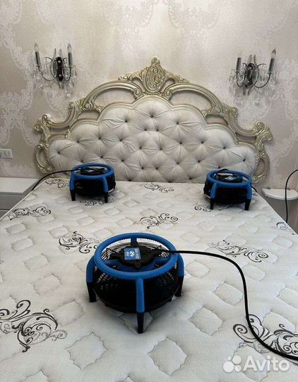 Химчистка мягкой мебели, ковров, матрасов на дому