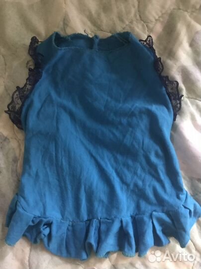 Одежда для собак