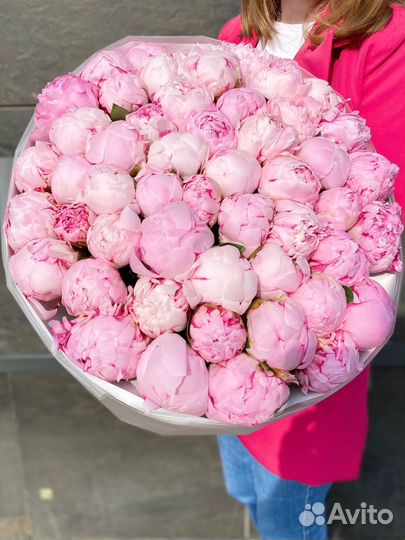 Букет пионы премиум 25 51 101 доставка