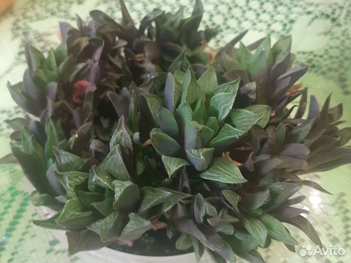 Не знаю названия