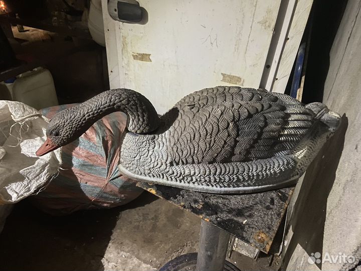 Чучела гусей