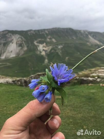 Тур по Дагестану