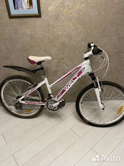 Подростковый Велосипед Welt Edelweiss 24 (2016)