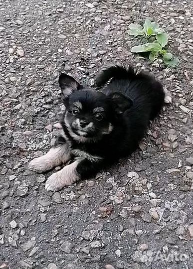 Милый малыш