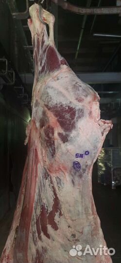 Говядина 1 кат. коровы в п/т, зам. Только оптом