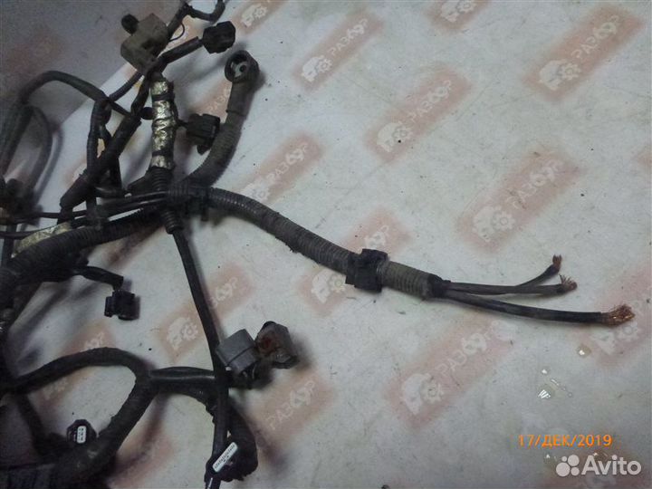 Проводка моторного отсека Infiniti Fx37 S51