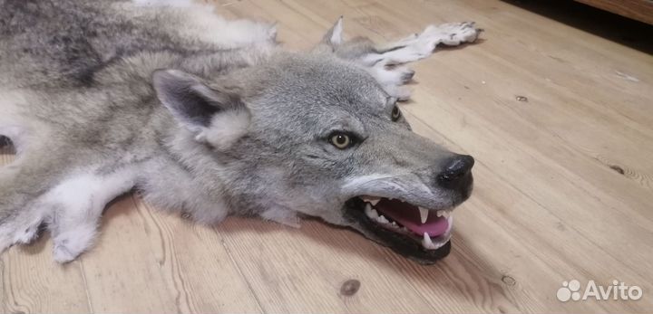 Ковер из шкуры волка