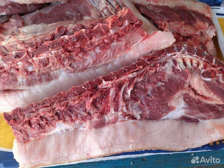 Свинина домашняя мясо