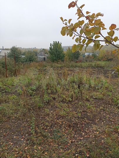 Участок 10 сот. (СНТ, ДНП)
