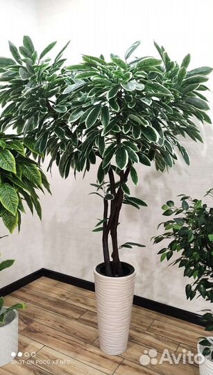 Искусственные деревья, пальмы для декора