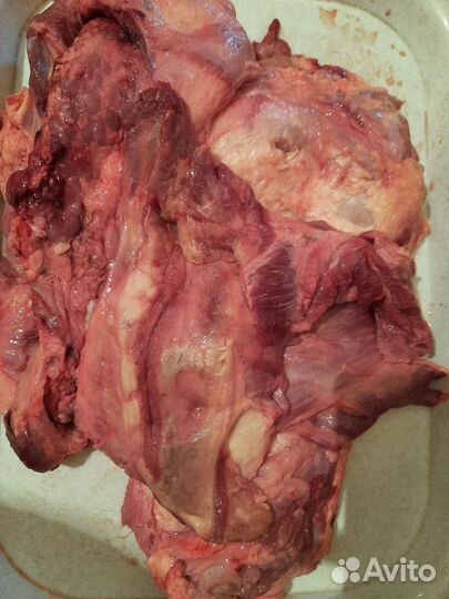 Мясо говядина для Животных