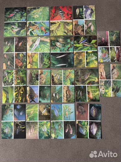 Набор открыток 
