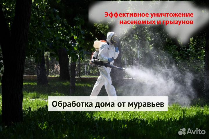 Уничтожение клопов тараканов грызунов блох плесени