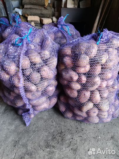 Продам картофель с доставкой