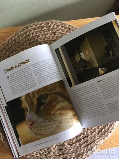 Книга. Сарторе, Хили: Как фотографировать детей