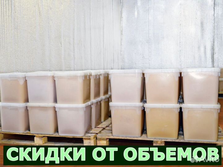 Мёд оптом с Алтая в Домодедово