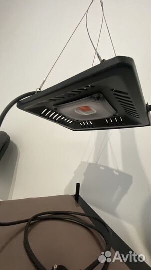 Фитолампа для растений