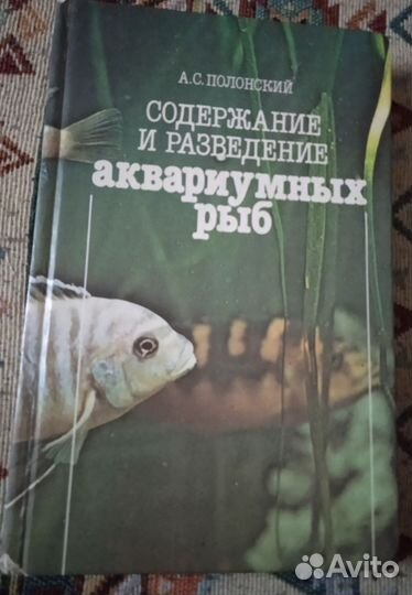 Содержание и разведение аквариумных рыб