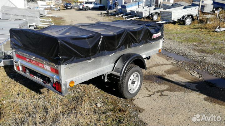 Прицеп Крепыш 2,5