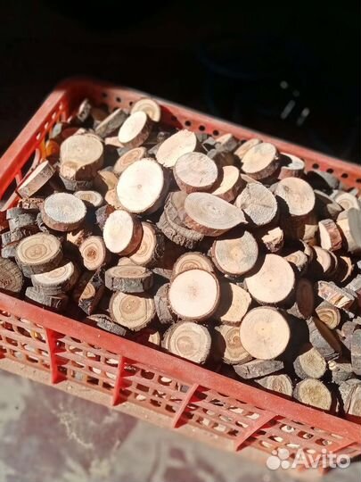 Спилы дерева. Набор 100шт, для творчества