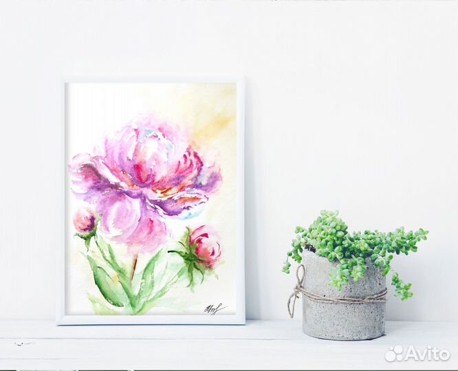 Картина акварелью Пион