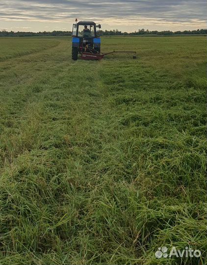 Сено свежескошенное 2023г в рулонах