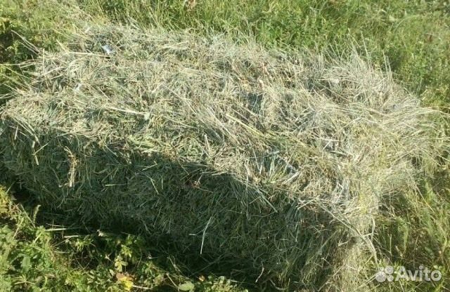 Продам сено, солому есть доставка