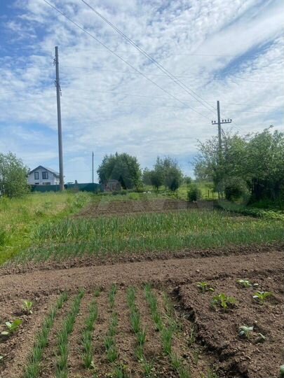 Участок 4 сот. (СНТ, ДНП)