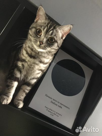 Подарок на любой праздник