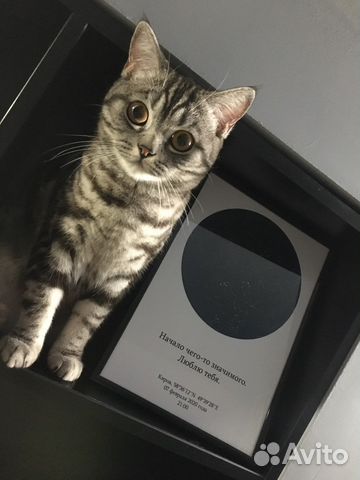 Подарок на любой праздник