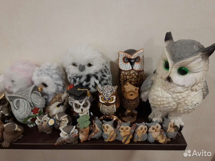 Коллекция сов