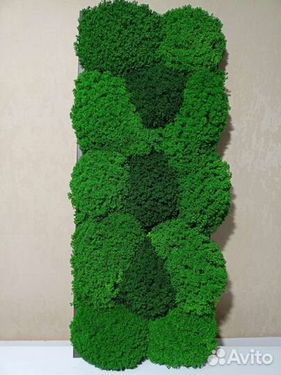 Картина (пано) из стабилизированного мха