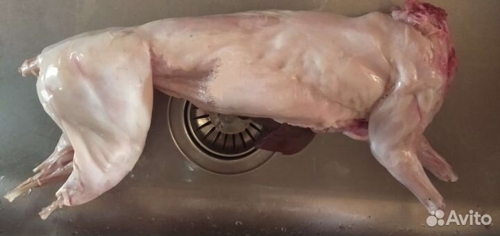 Крольчатина