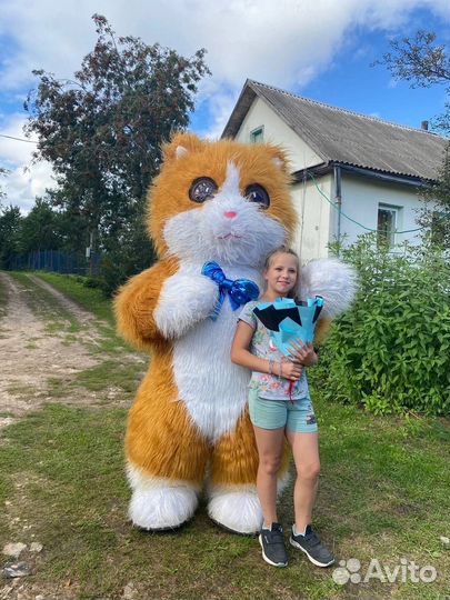 Белый медведь, мишка тедди Аррева