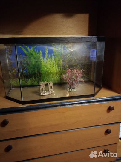 Аквариум