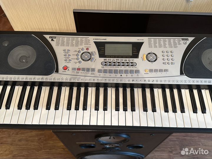 Синтезатор cortland как roland