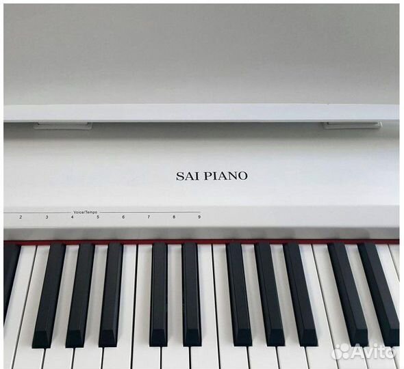 Цифровое пианино Sai Piano P-9WH