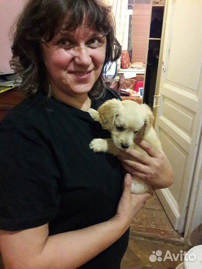 Сиделка с медицинским образованием