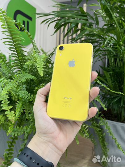 iPhone Xr, 128 ГБ