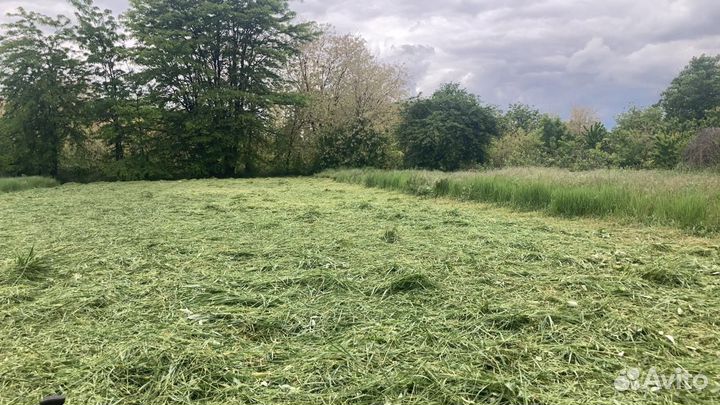 Покос травы триммером