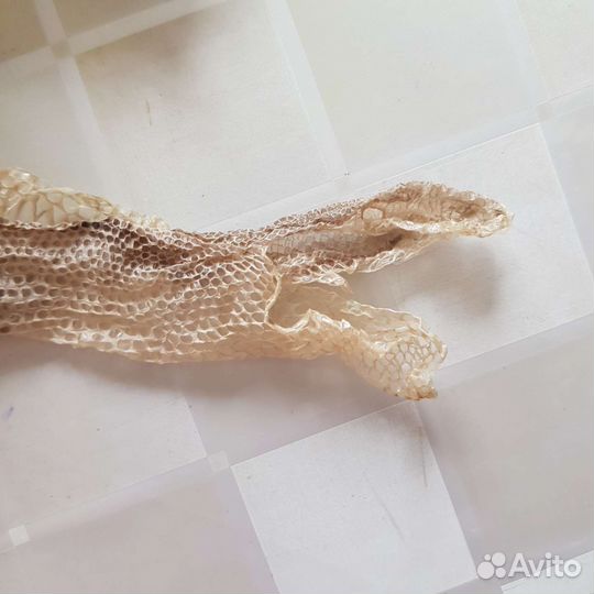 Выползок удава