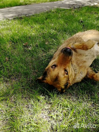 В надёжные руки