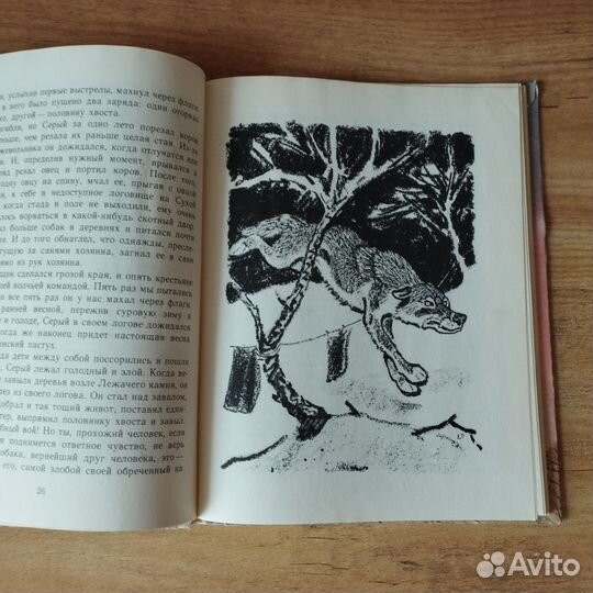 Пришвин Кладовая солнца Рассказы 1979 год