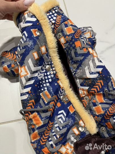 Одежда для собак