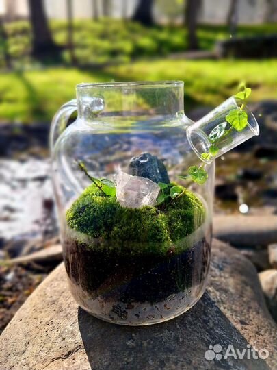 Флорариум Медитация/Зеленый чай