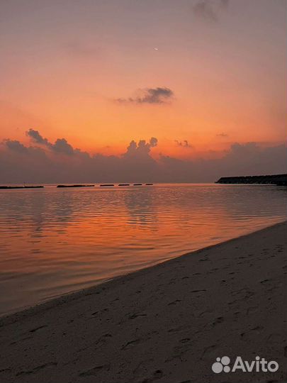 Удобрения Перегной Земля Грунт Чернозём